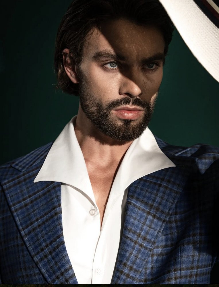Alan model