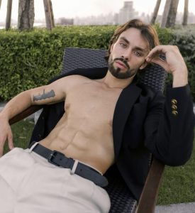 Alan model