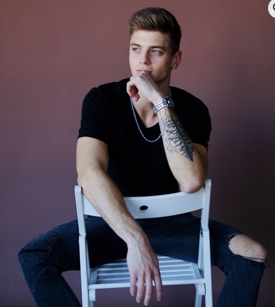 Hakim model