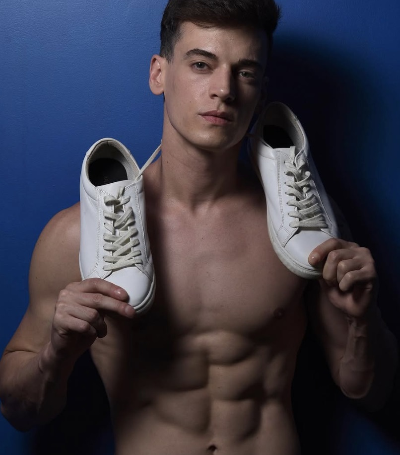 Guillaume model
