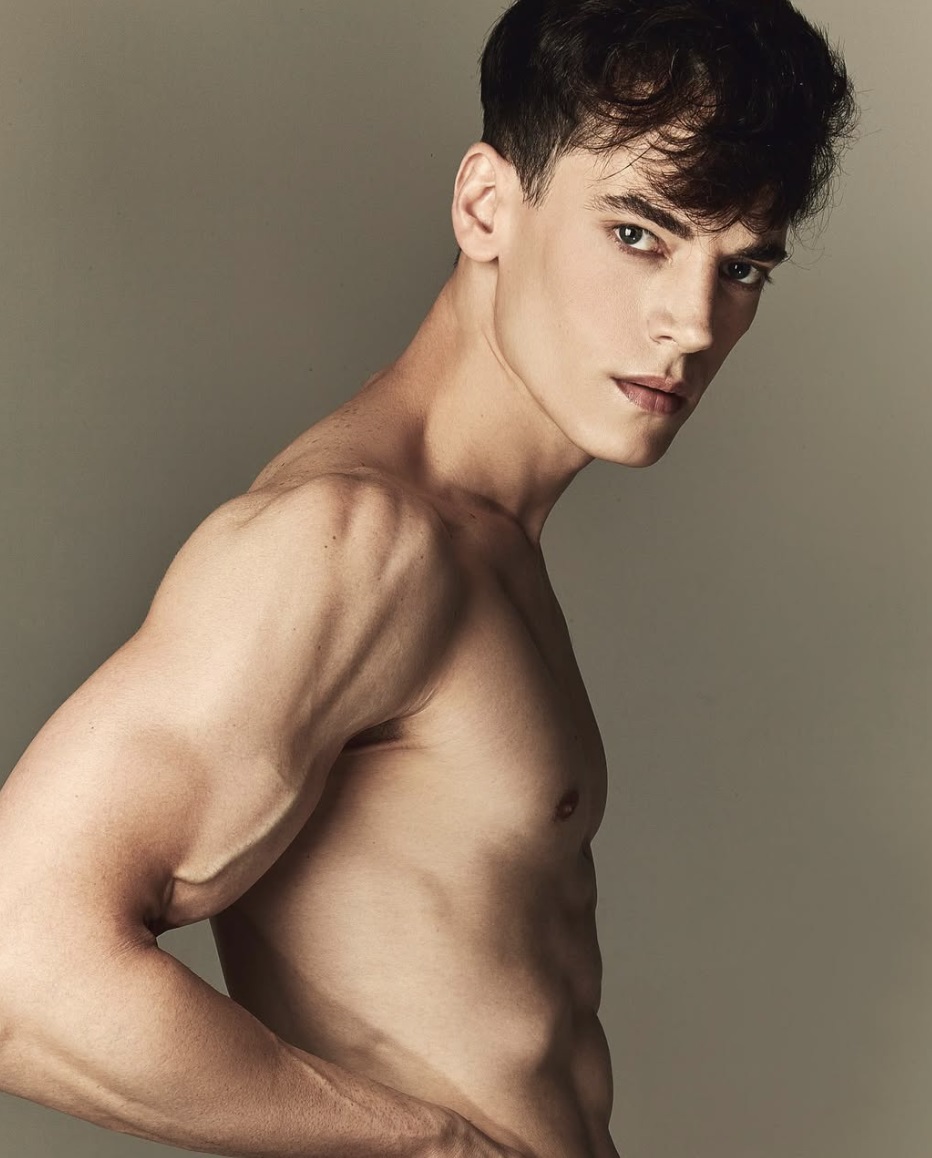 Guillaume model