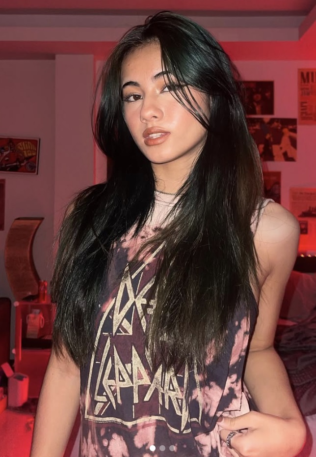 Noey model