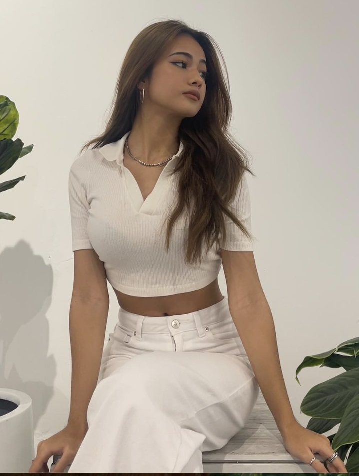 Noey model