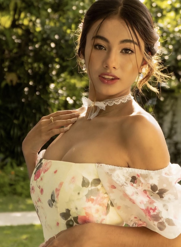 Noey model