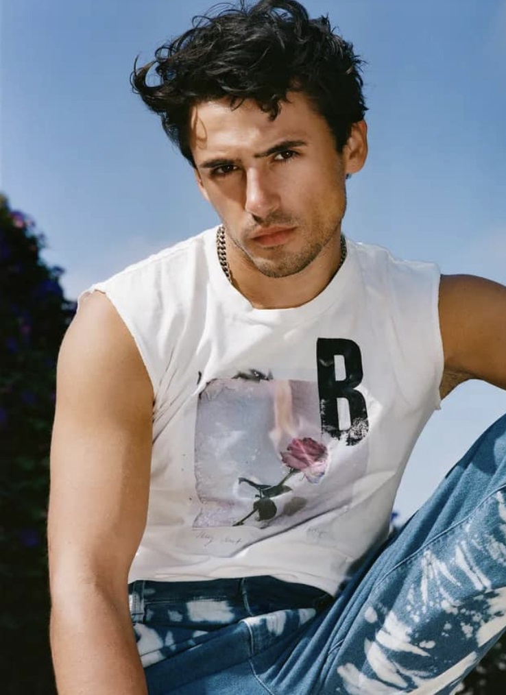 Stefan model
