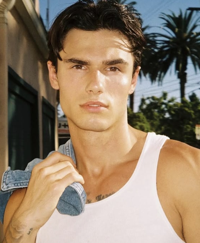 Hayden model