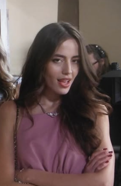 Vanessa model