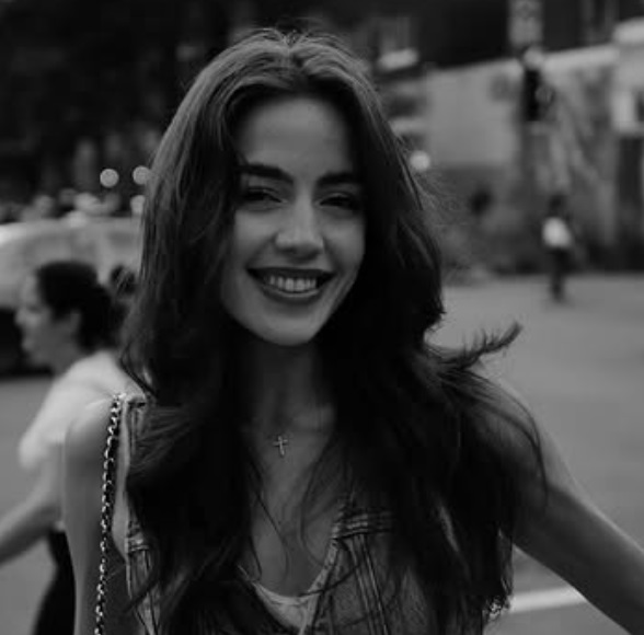 Vanessa model